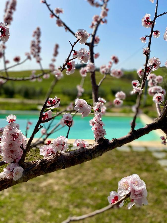 B&B Monte Di Bu Bagno Roselle Luaran gambar