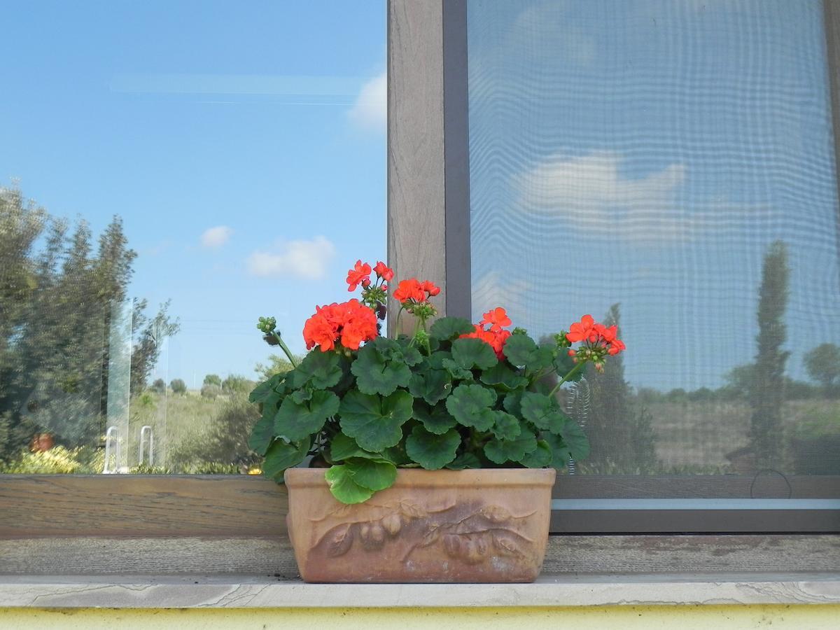 B&B Monte Di Bu Bagno Roselle Luaran gambar