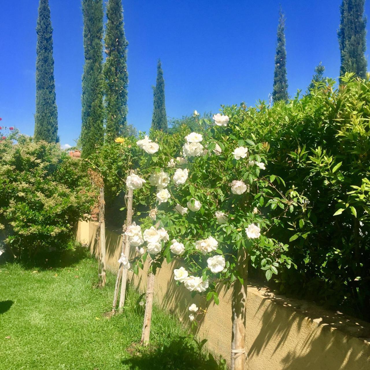 B&B Monte Di Bu Bagno Roselle Luaran gambar