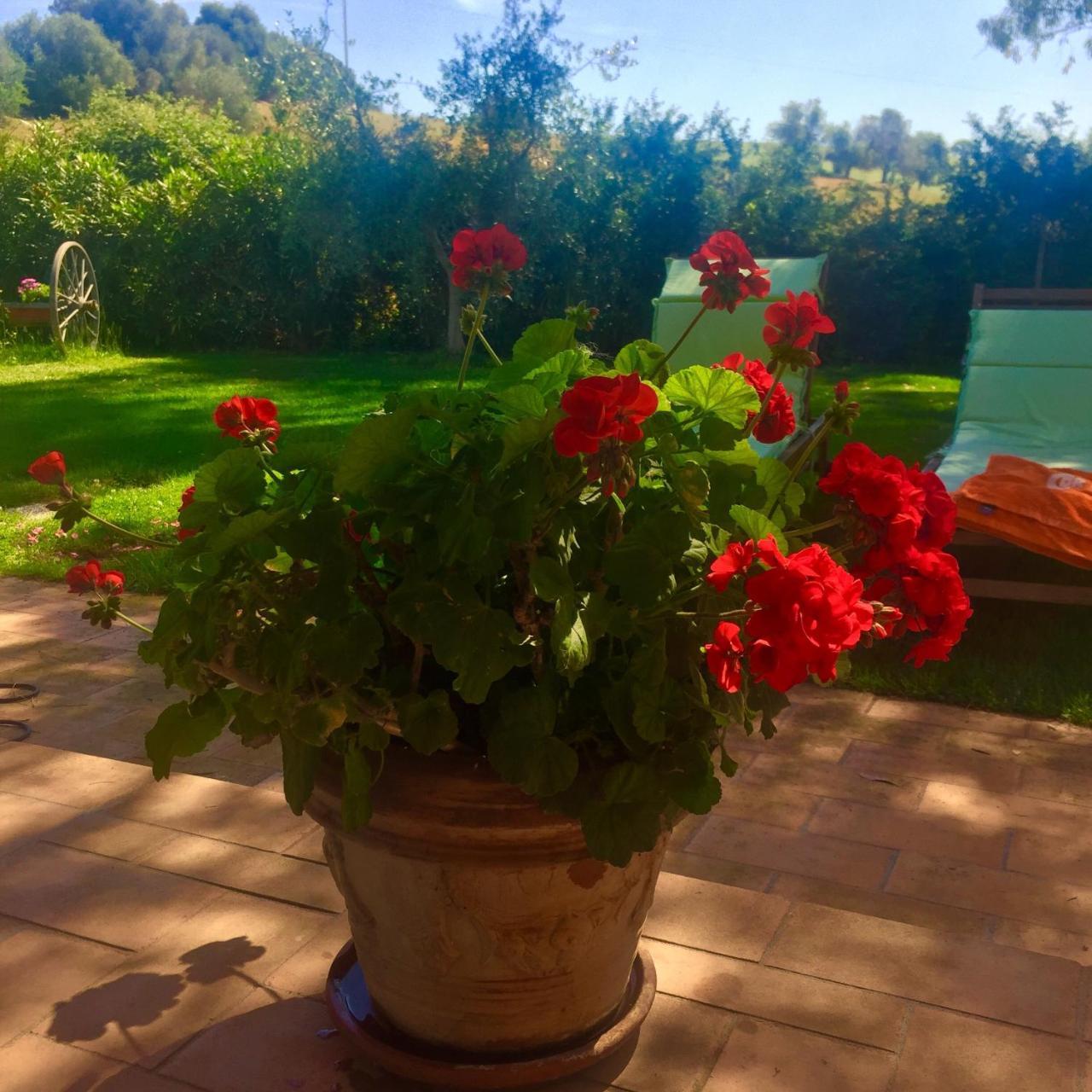 B&B Monte Di Bu Bagno Roselle Luaran gambar