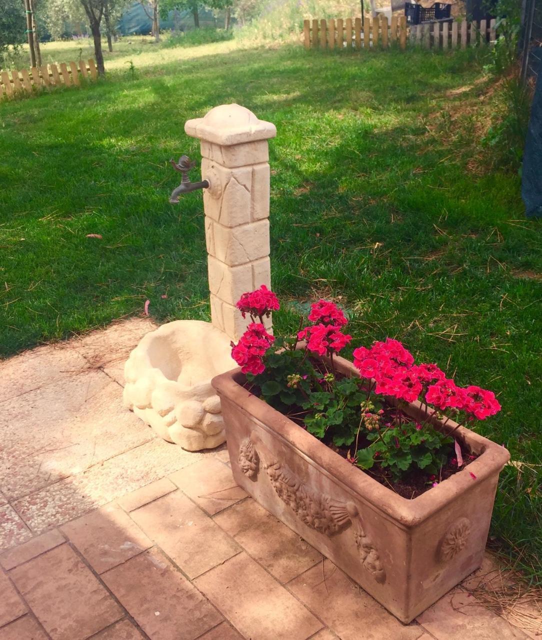B&B Monte Di Bu Bagno Roselle Luaran gambar